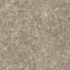 Silver Quartzite